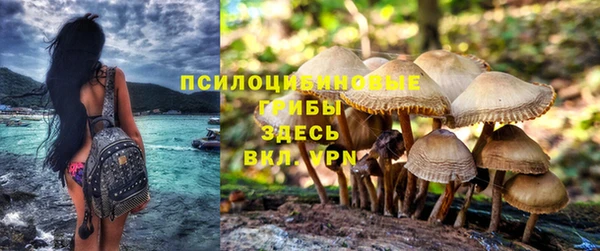 прущая мука Абаза