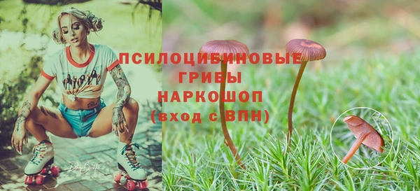 Альфа ПВП Алексеевка