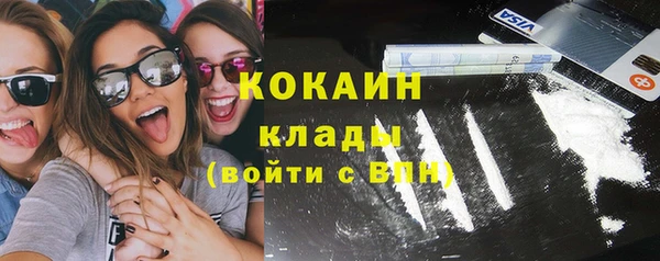 ECSTASY Алзамай