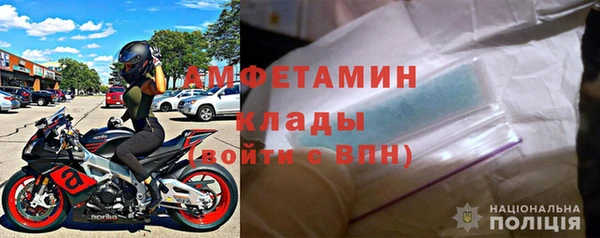 ГАЛЛЮЦИНОГЕННЫЕ ГРИБЫ Кукмор