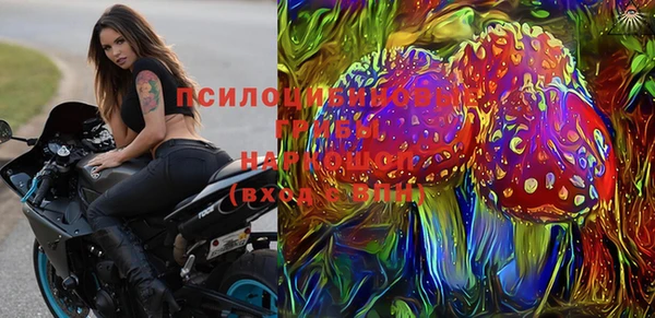 прущая мука Абаза